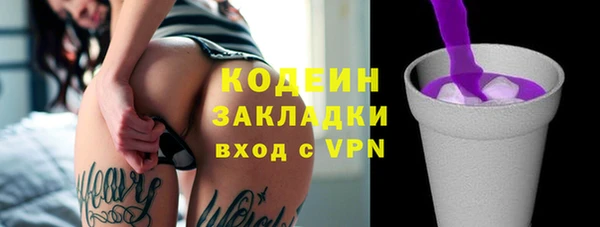 спиды Бородино