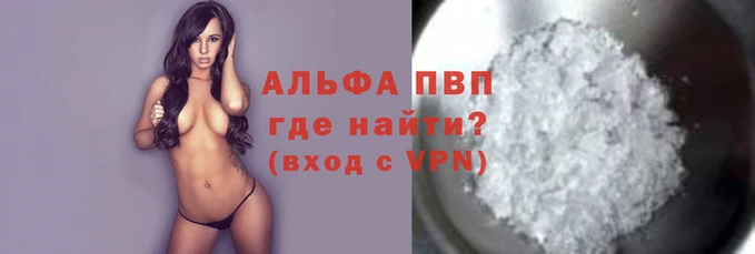 спиды Бородино