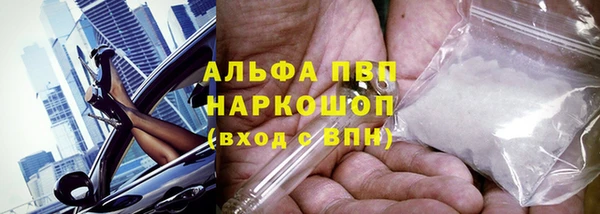спиды Бородино
