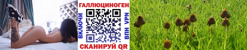 Галлюциногенные грибы мицелий  ОМГ ОМГ рабочий сайт  Урень  купить  